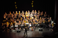 Les P'tites Grattes en Concert